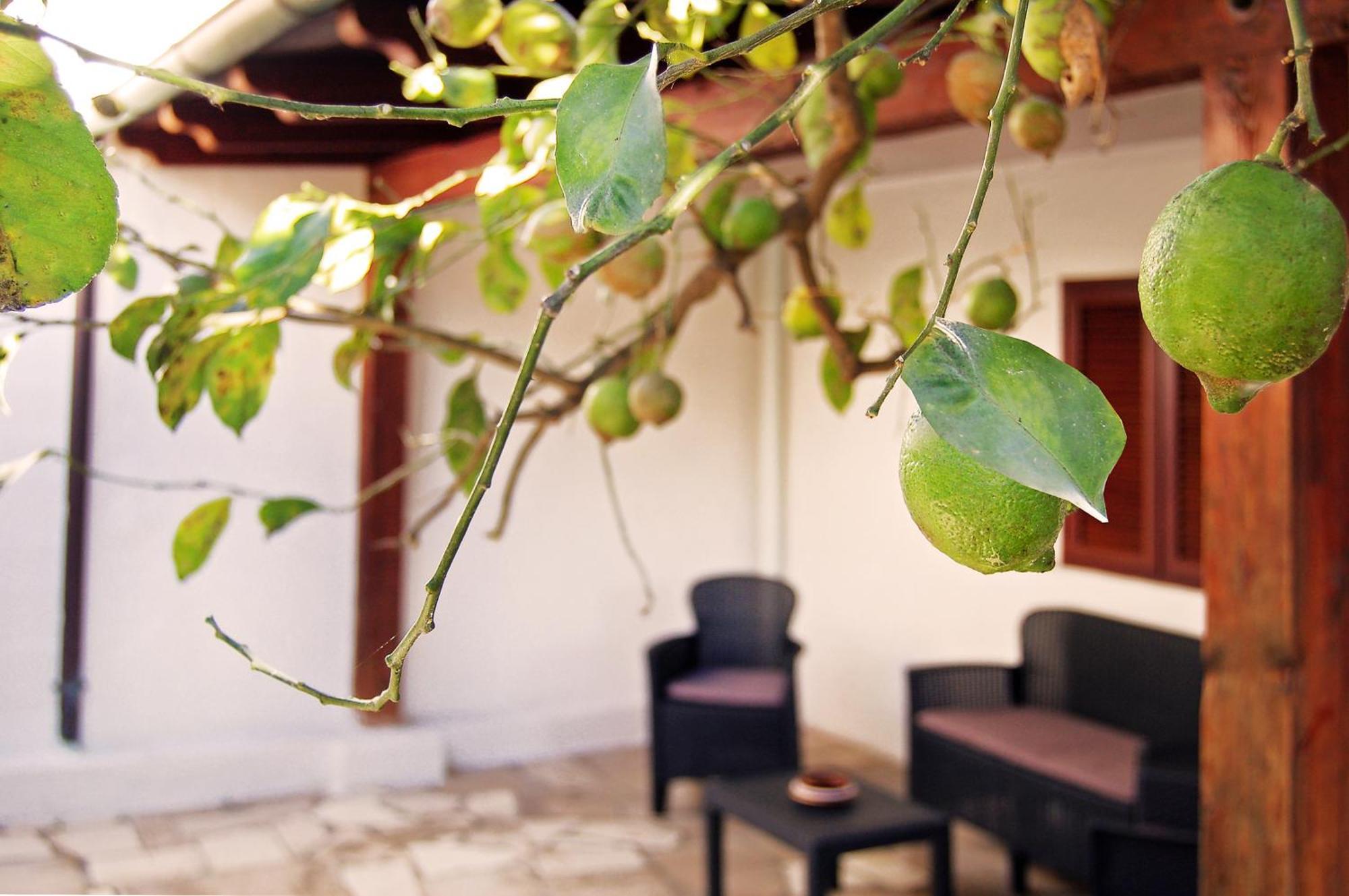 Sea Breeze - Luna Holiday home *